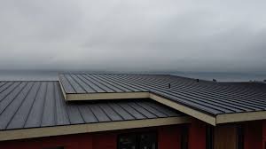 Best Rubber Roofing (EPDM, TPO)  in Ddanelle, AR